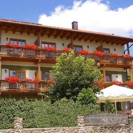 Pension Zur Alten Schmiede Zwiesel Esterno foto